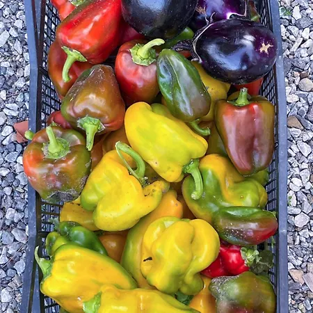 Trilli Ecobnb Alojamento de Acomodação e Pequeno-almoço 3*