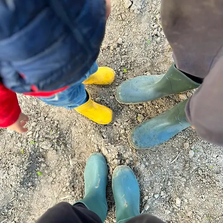 Trilli Ecobnb Alojamento de Acomodação e Pequeno-almoço 3*